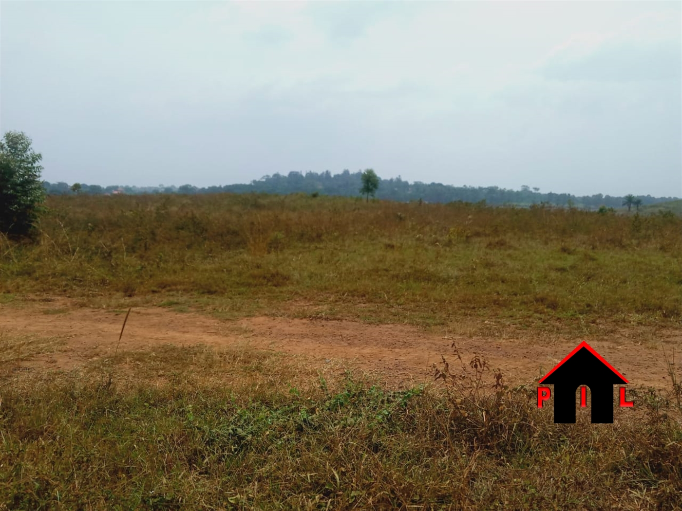 Agricultural Land for sale in Kiwanula Luweero