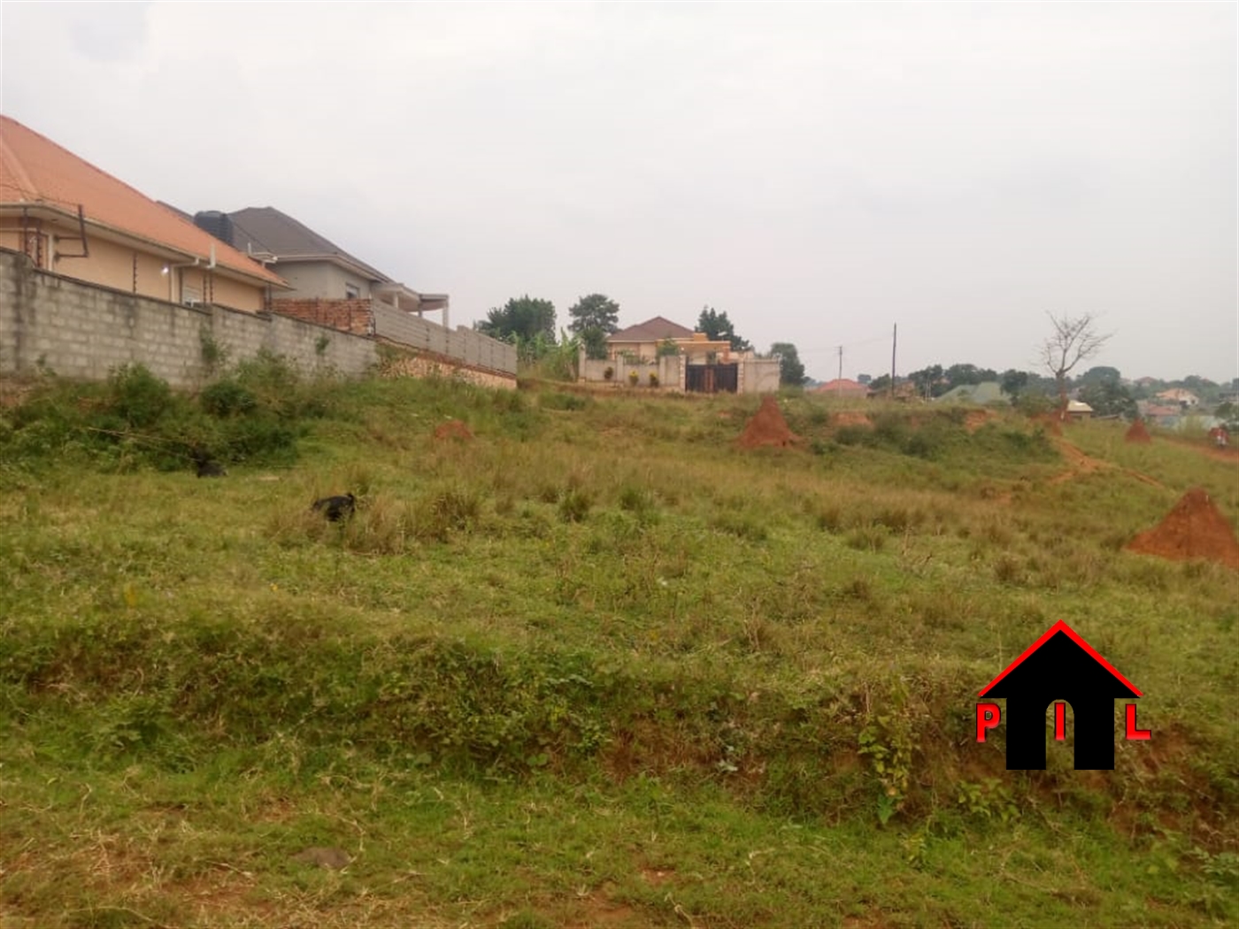 Agricultural Land for sale in Kiwanula Luweero