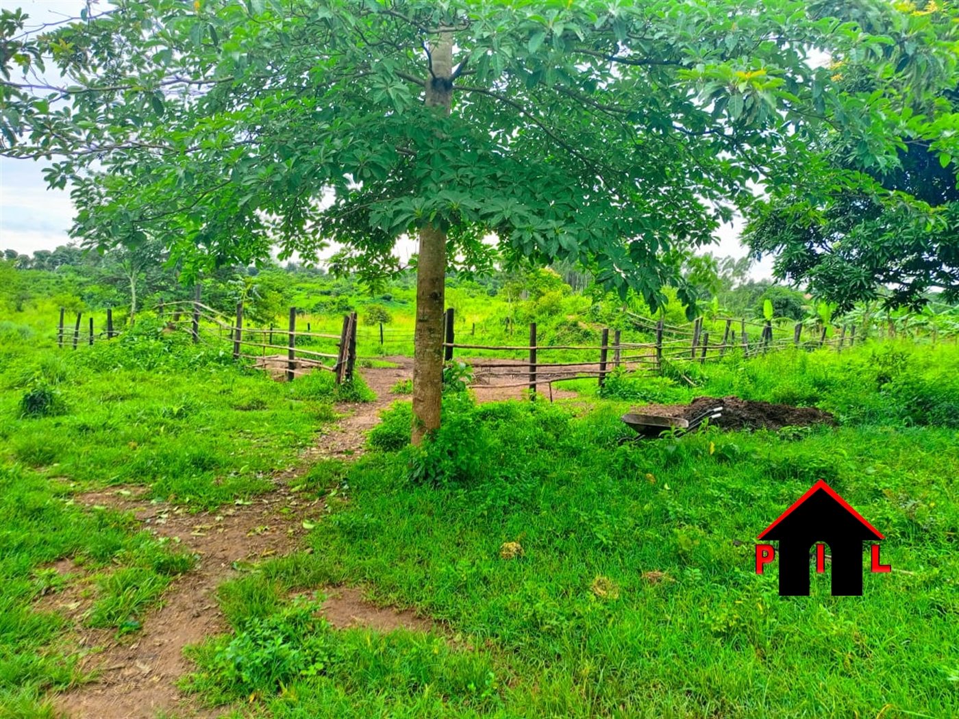 Agricultural Land for sale in Kiwanula Luweero