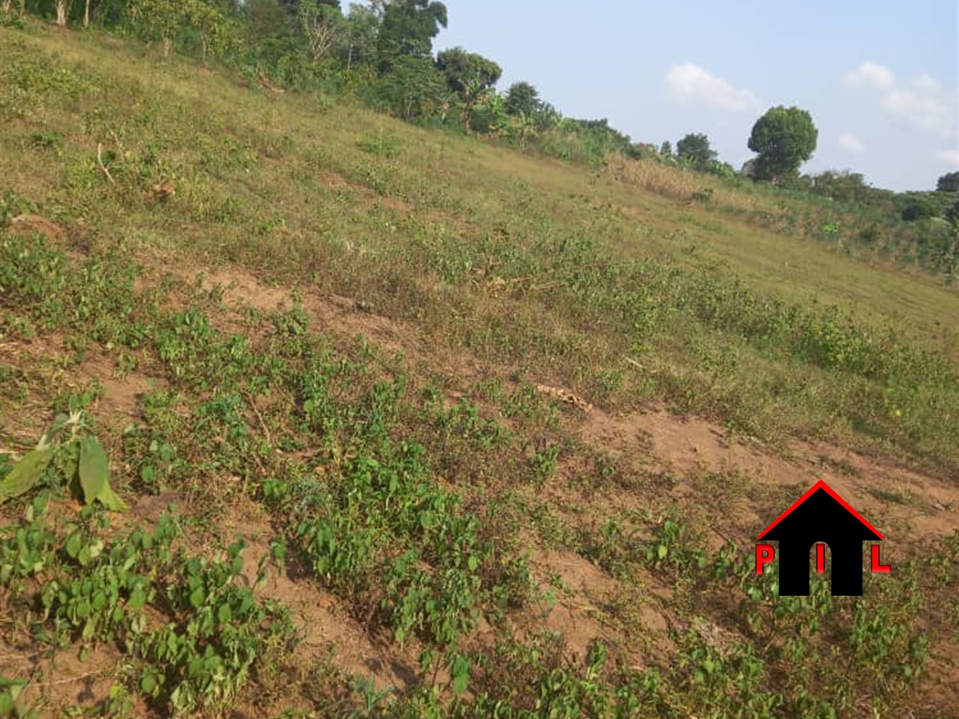 Agricultural Land for sale in Gombe Wakiso