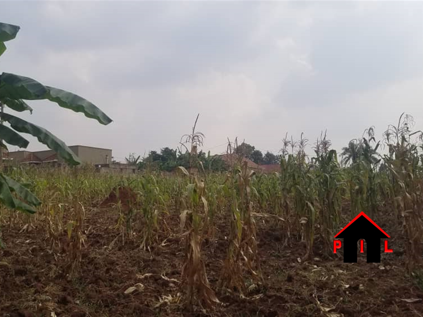 Commercial Land for sale in Gayaza Wakiso