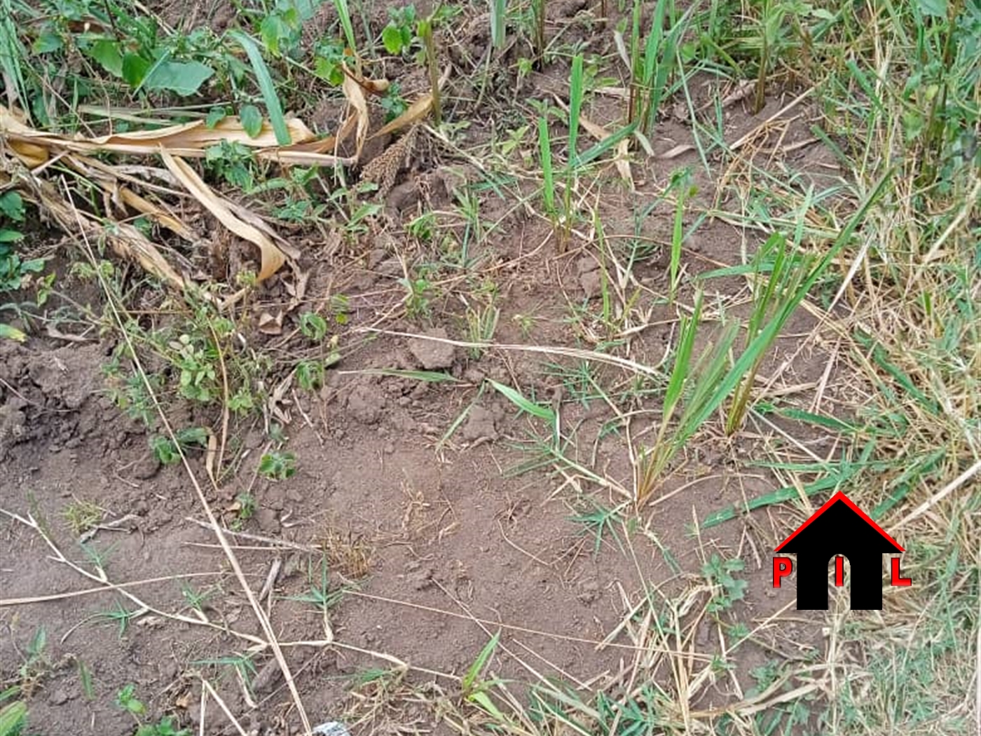 Residential Land for sale in Maya Wakiso