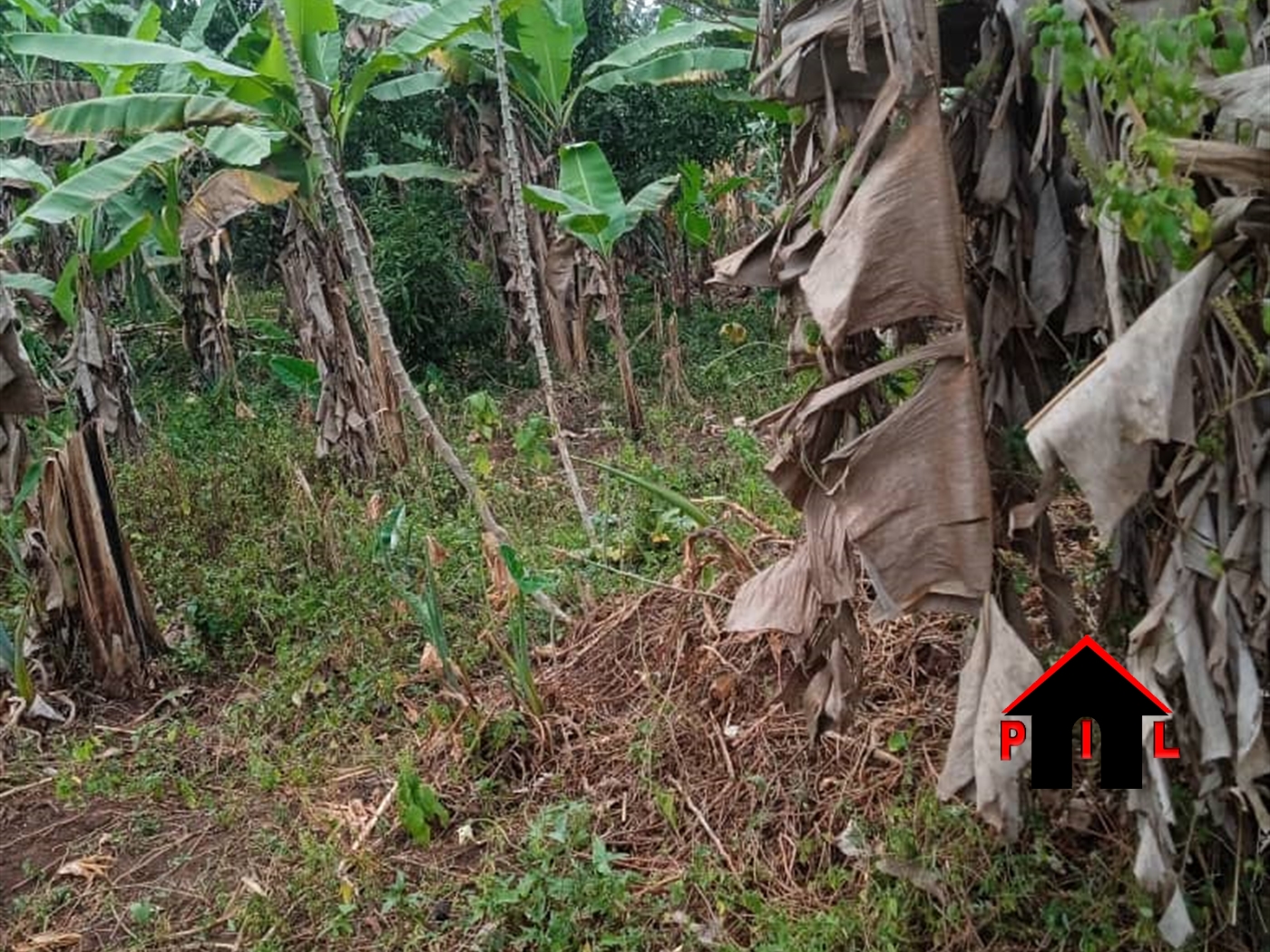 Residential Land for sale in Kiwenda Wakiso