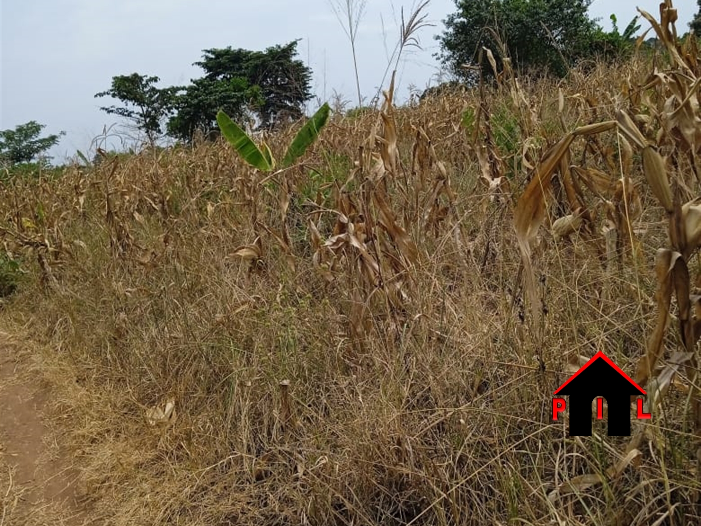 Residential Land for sale in Busukuma Wakiso