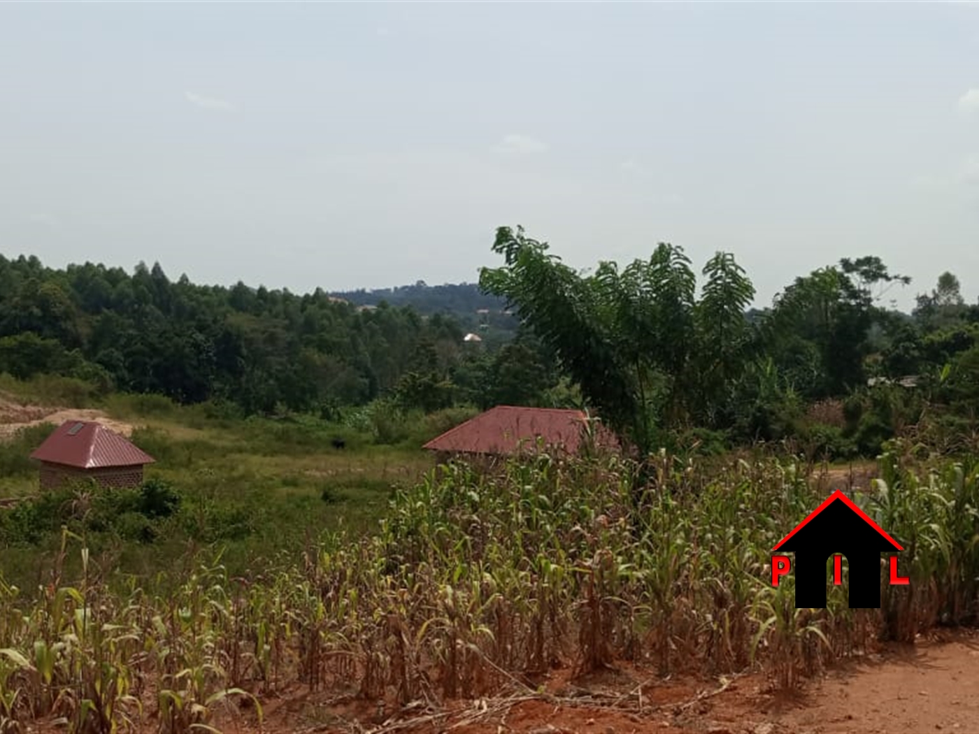 Residential Land for sale in Kiwenda Wakiso