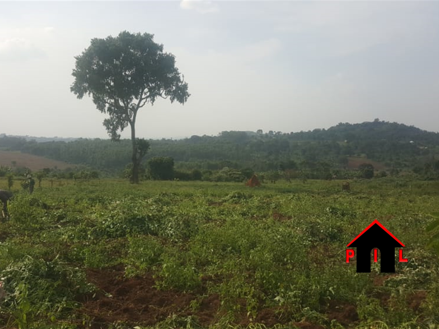 Commercial Land for sale in Ssenge Wakiso