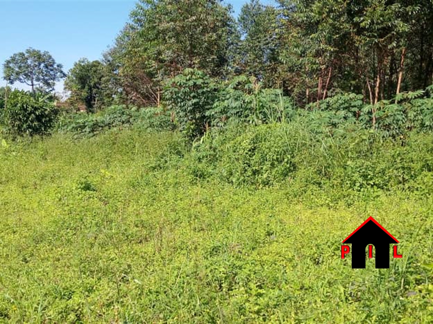 Agricultural Land for sale in Nakassajja Mukono