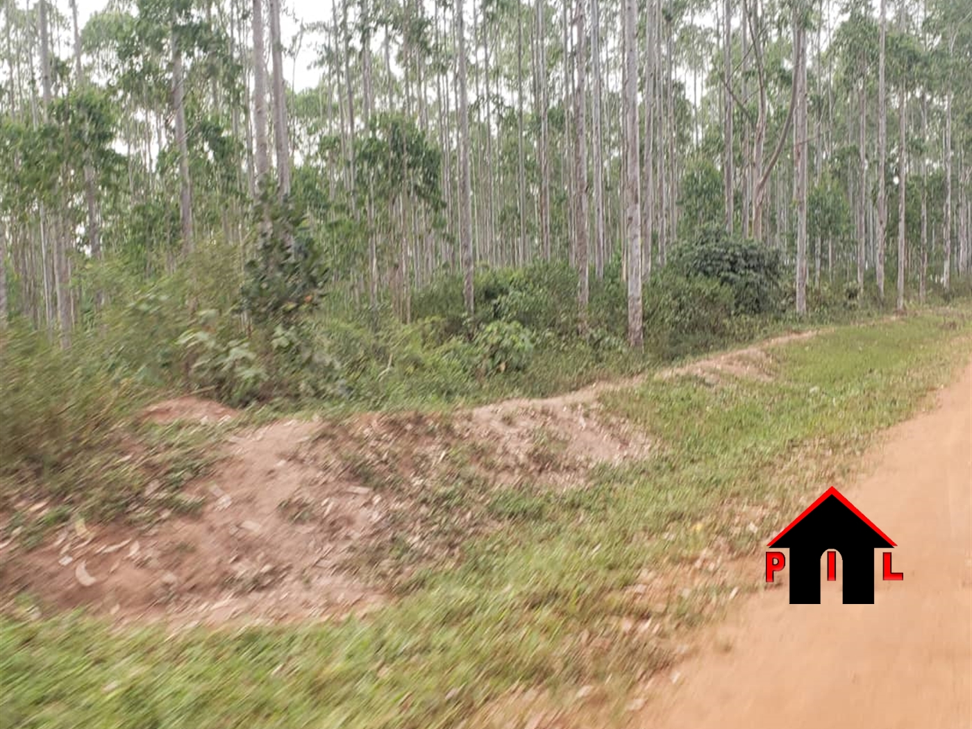 Agricultural Land for sale in Kakonge Nakasongola