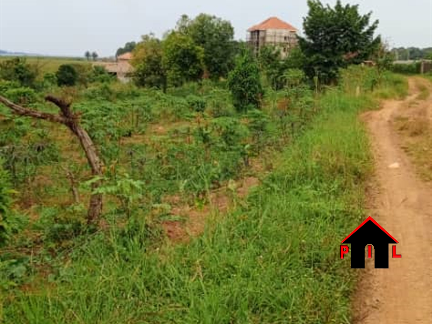 Agricultural Land for sale in Zirobwee Luweero