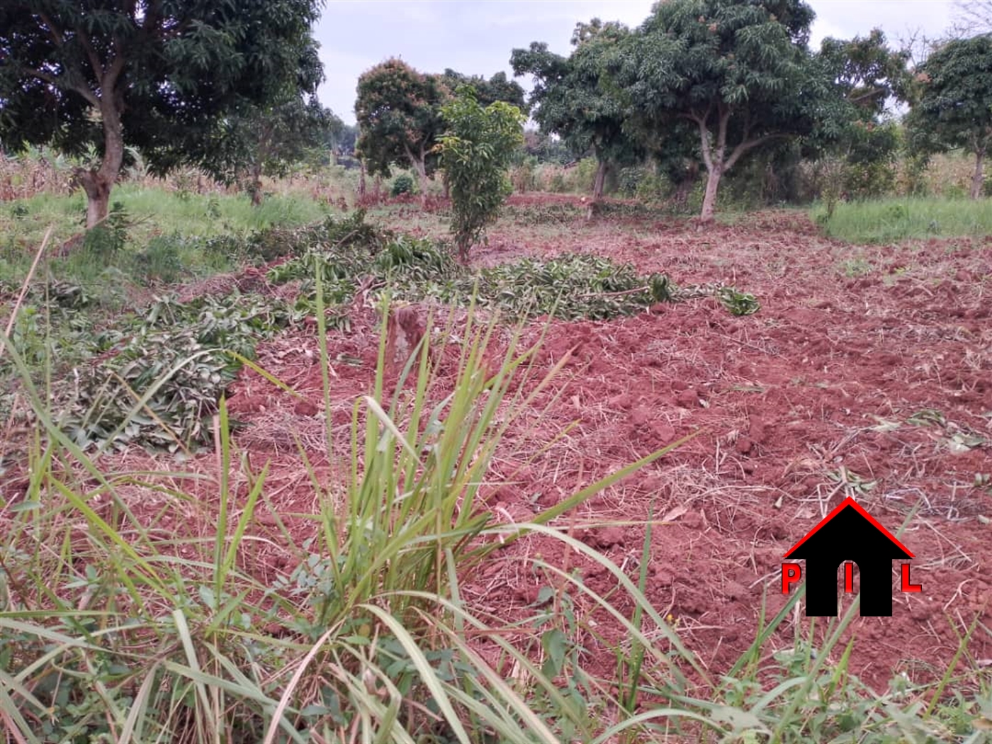 Agricultural Land for sale in Zirobwee Luweero