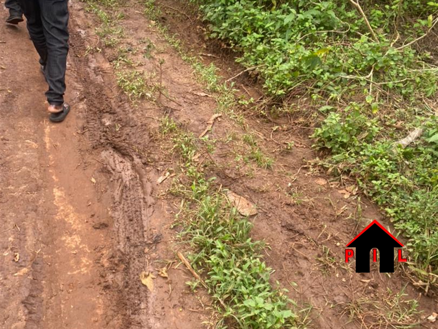 Agricultural Land for sale in Bombo Luweero