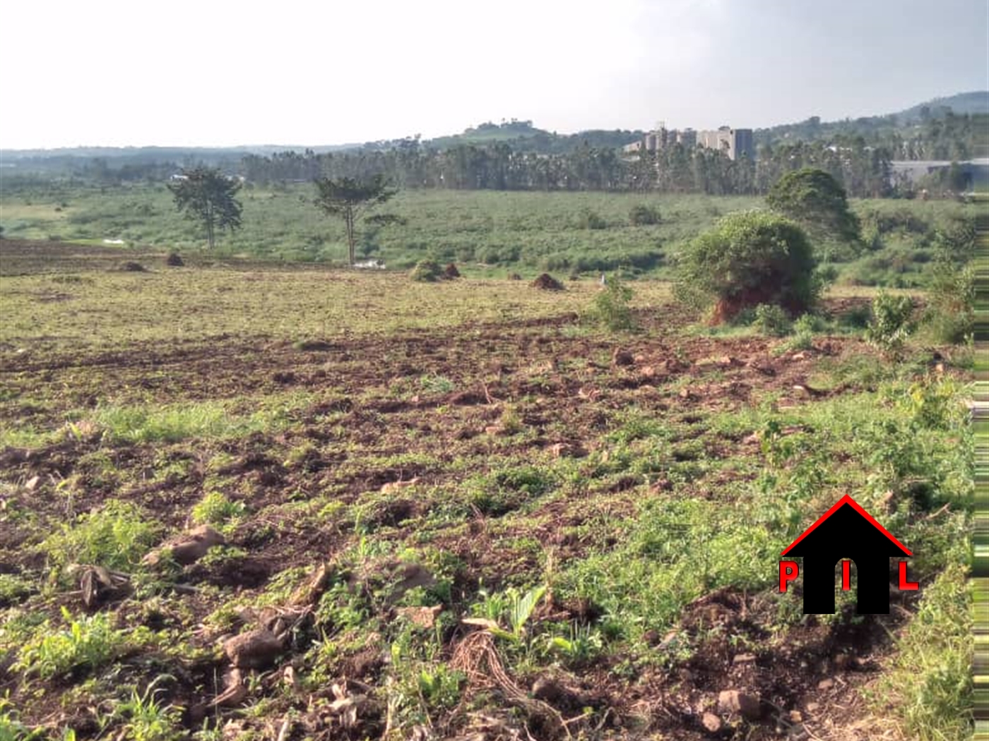 Agricultural Land for sale in Namawonjolo Mukono