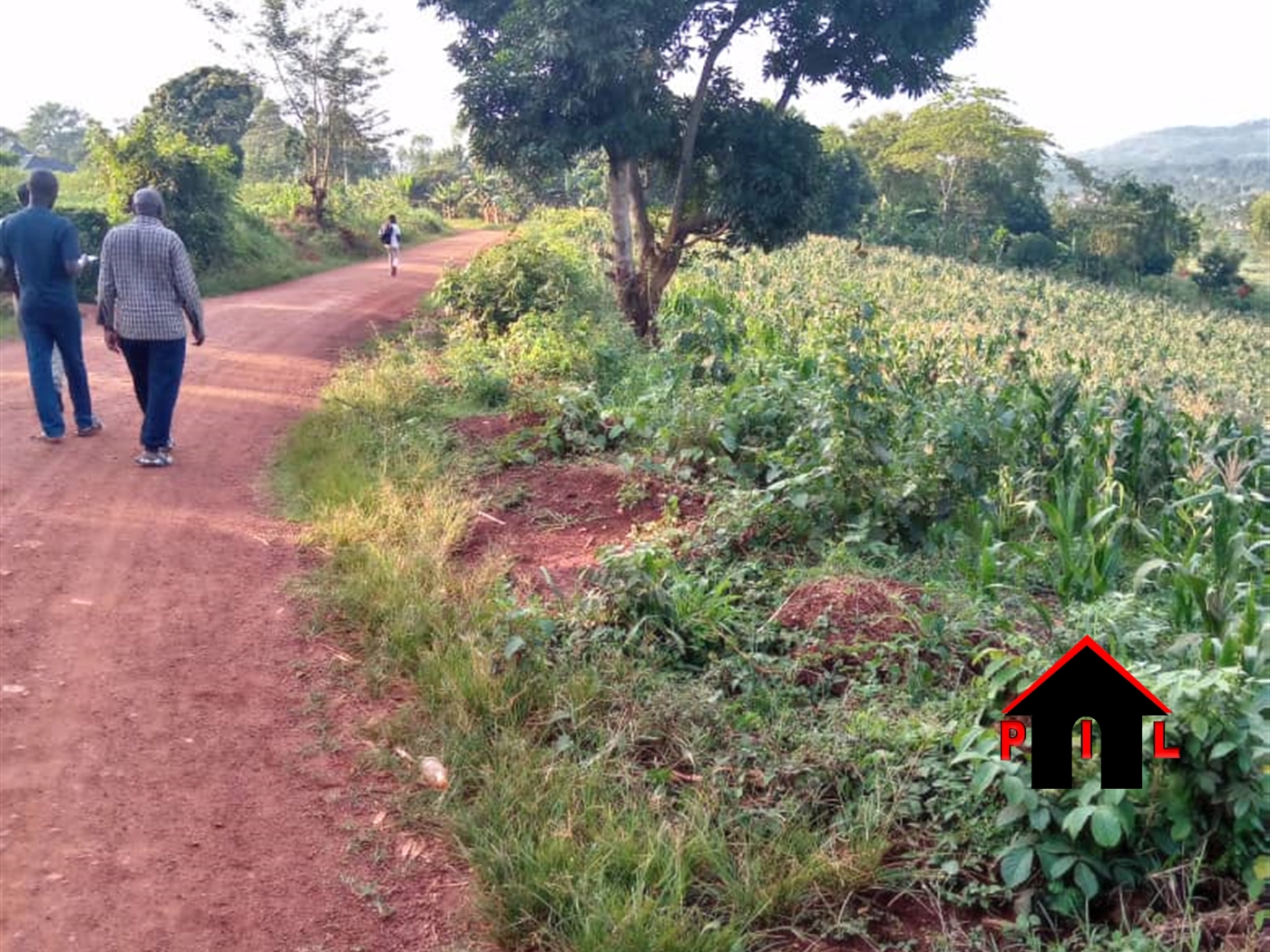 Agricultural Land for sale in Namawonjolo Mukono