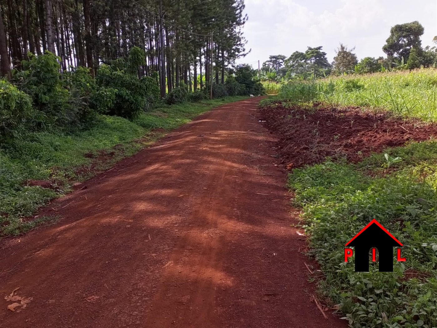 Commercial Land for sale in Bujagaali Jinja