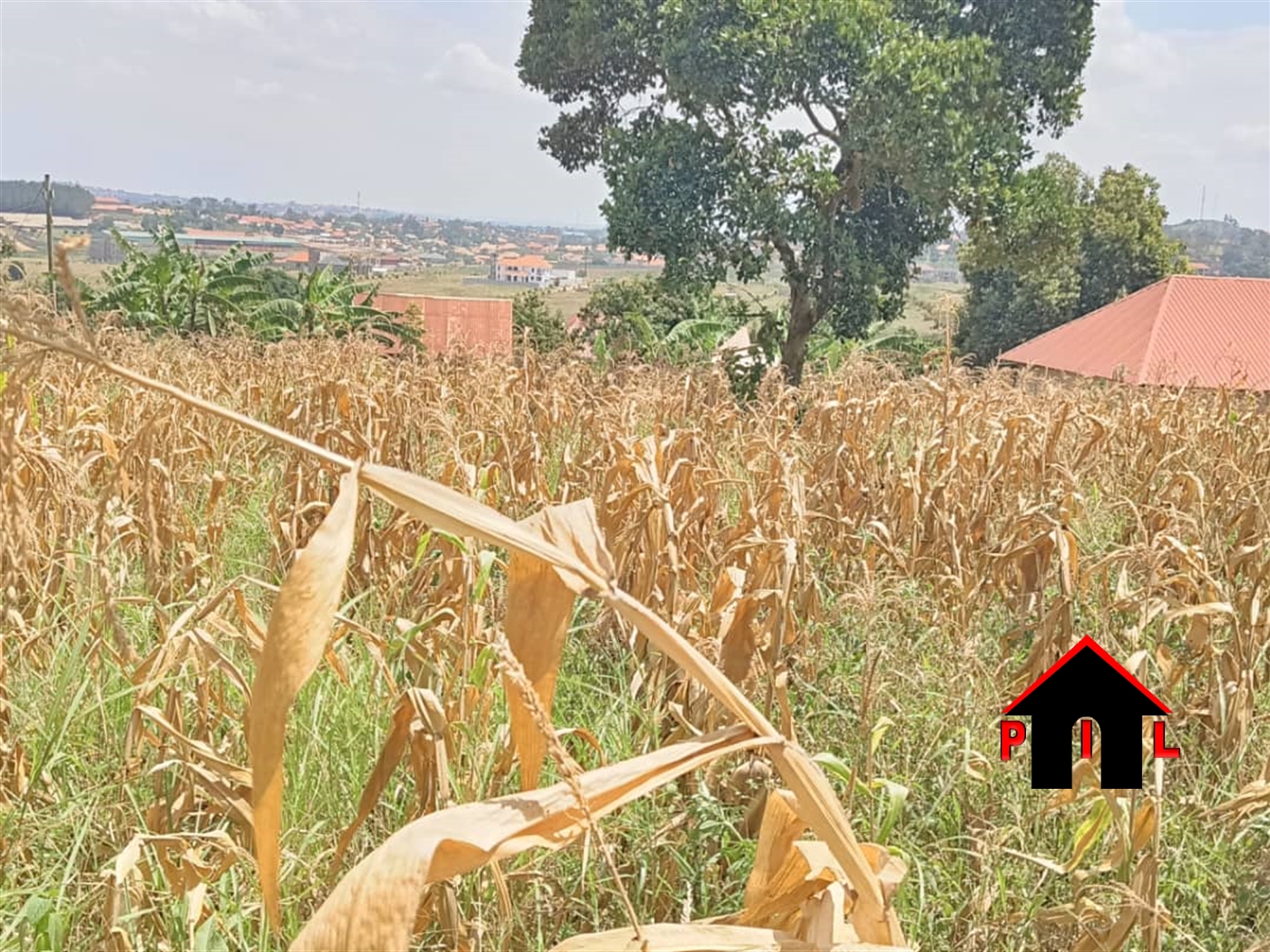 Residential Land for sale in Seeta Mukono