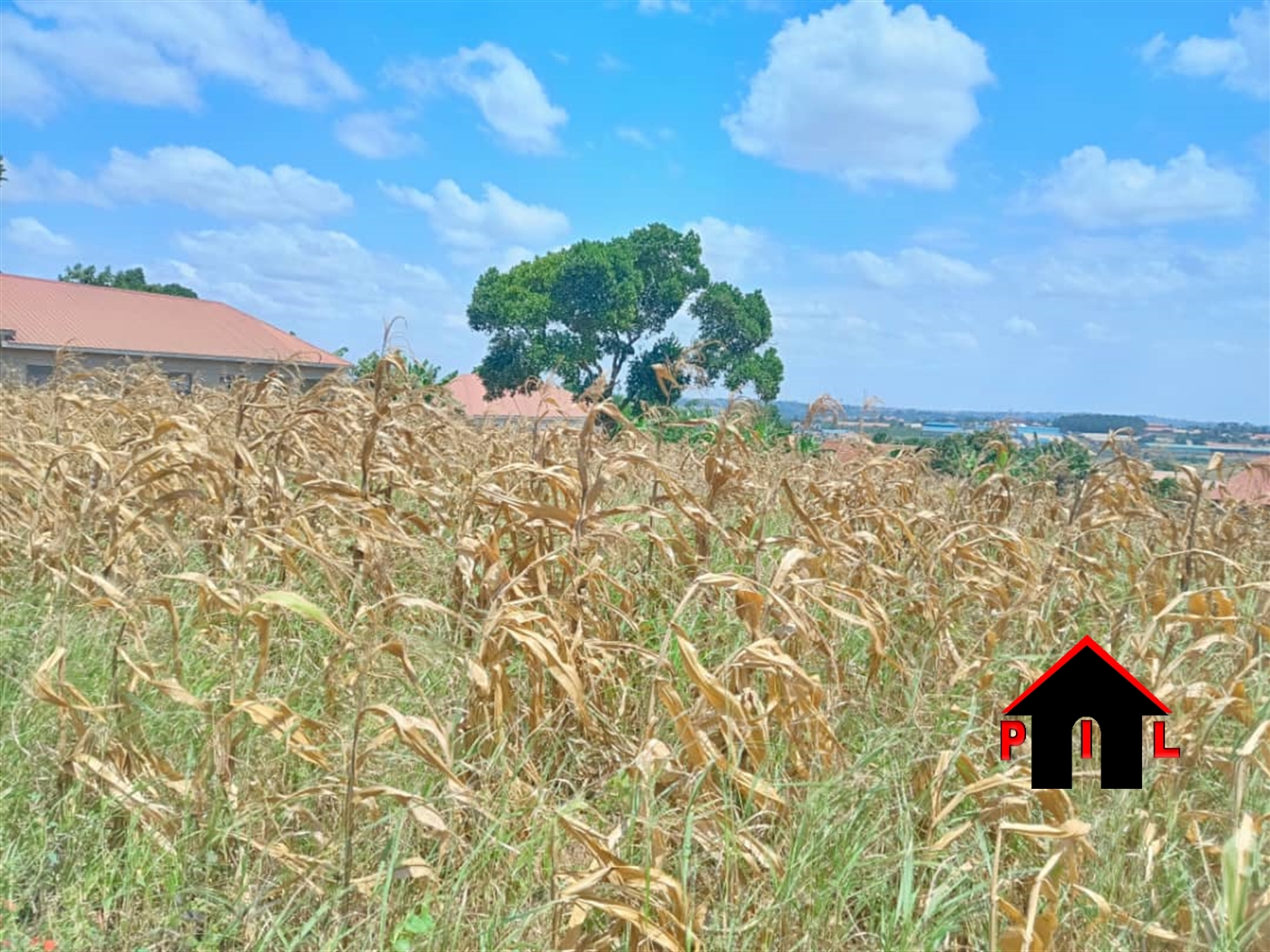 Residential Land for sale in Seeta Mukono