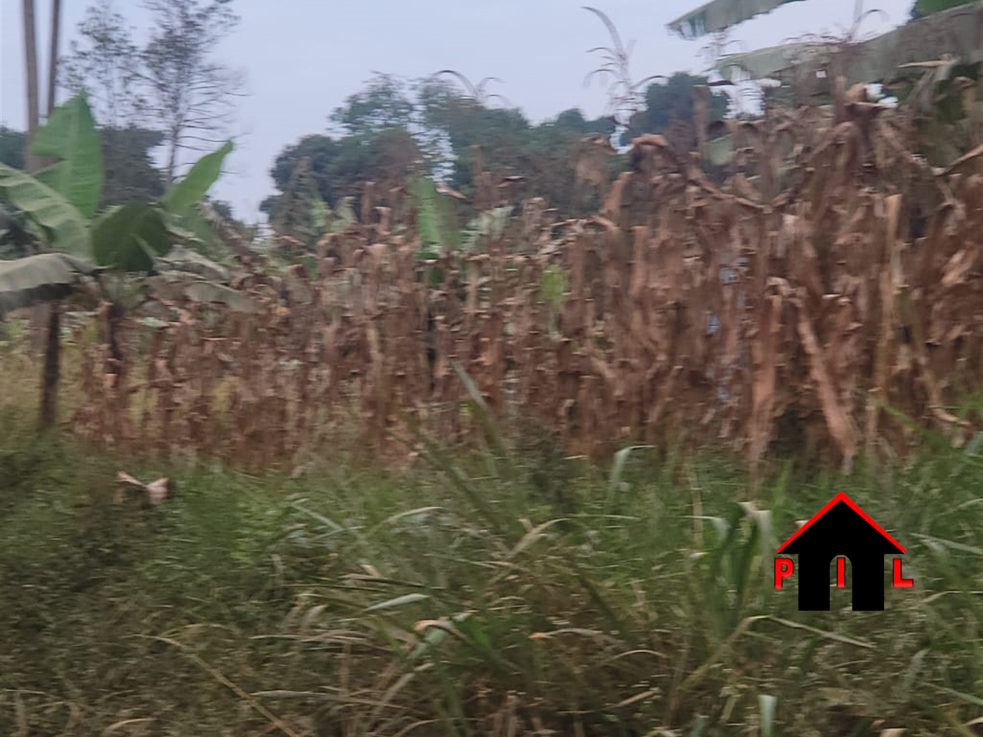 Commercial Land for sale in Kumbuzi Wakiso