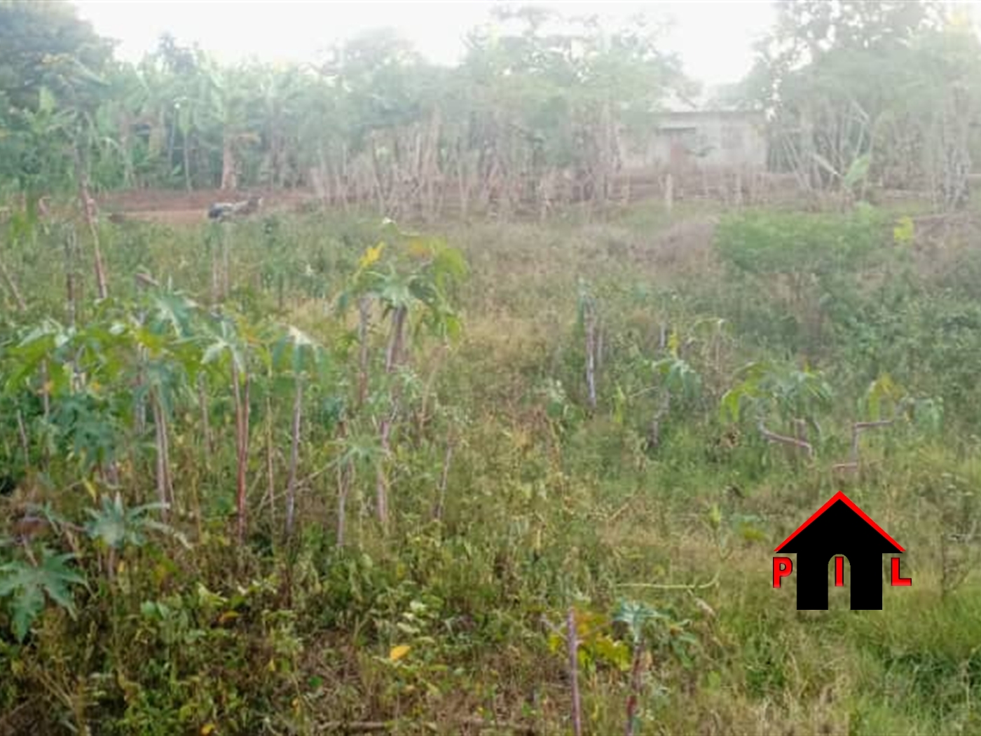 Residential Land for sale in Ssisa Wakiso