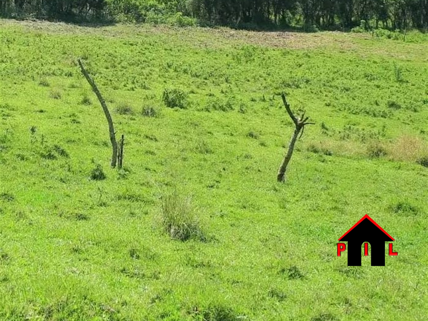 Residential Land for sale in Fortportal Kabarole