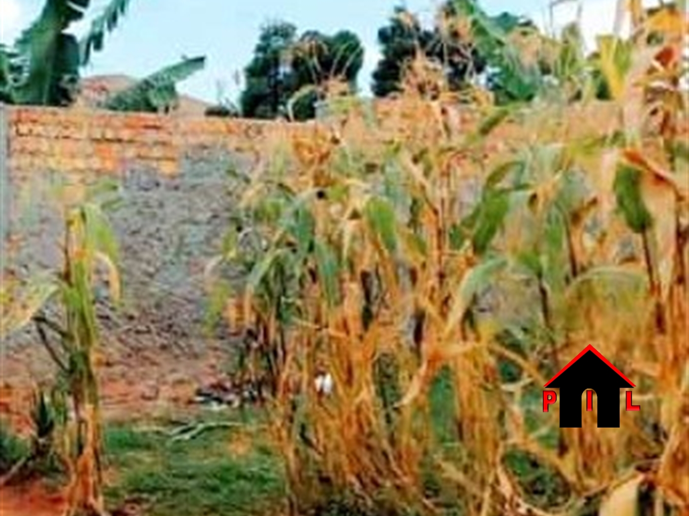 Residential Land for sale in Kira Wakiso