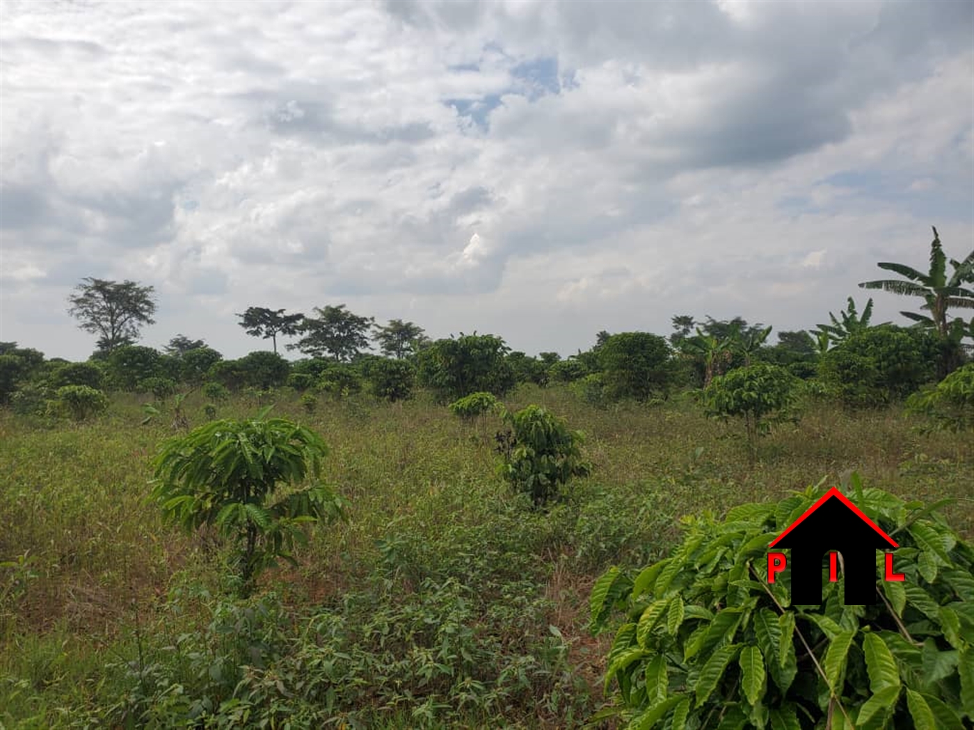 Agricultural Land for sale in Kikyuusa Luweero