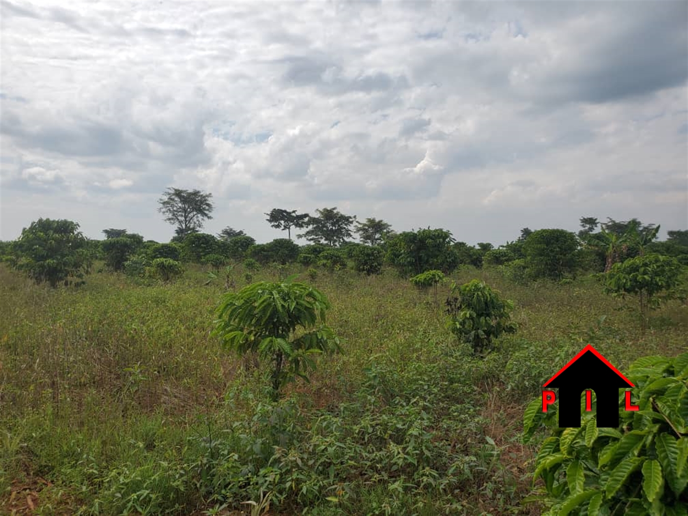 Agricultural Land for sale in Kikyuusa Luweero