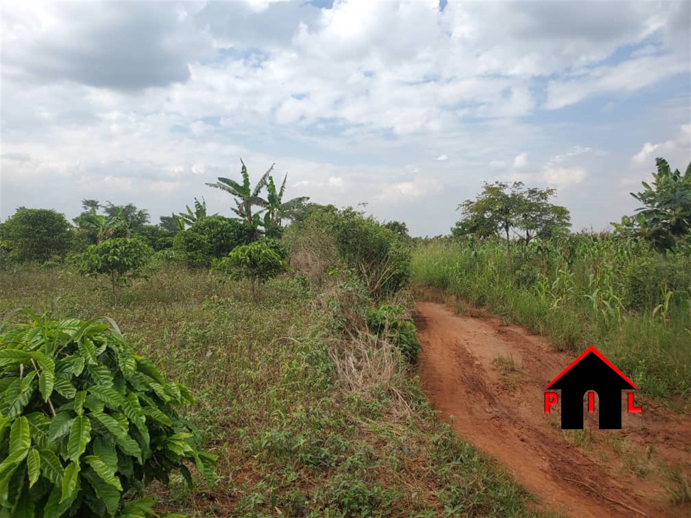 Agricultural Land for sale in Kikyuusa Luweero