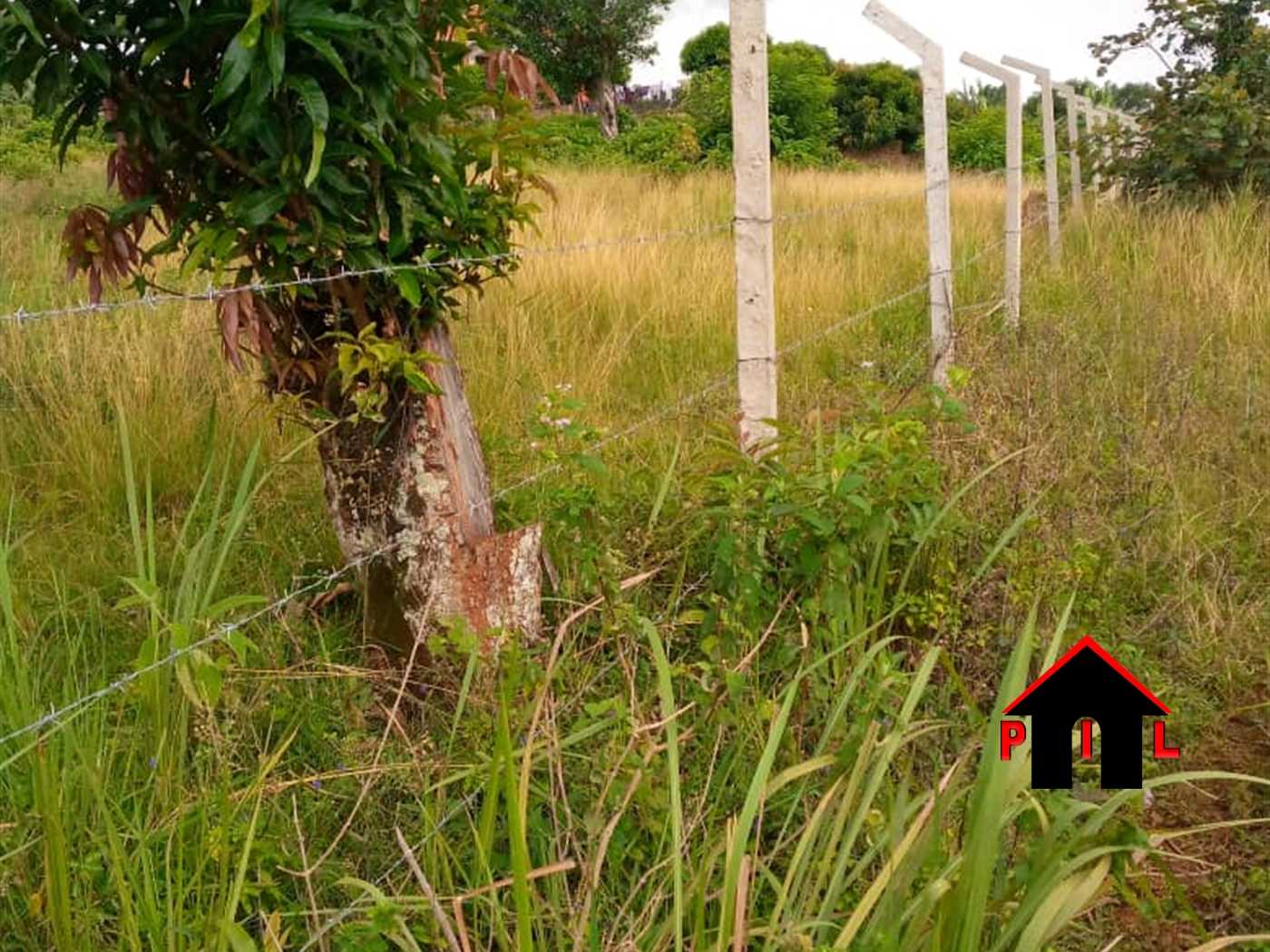 Commercial Land for sale in Ssisa Wakiso