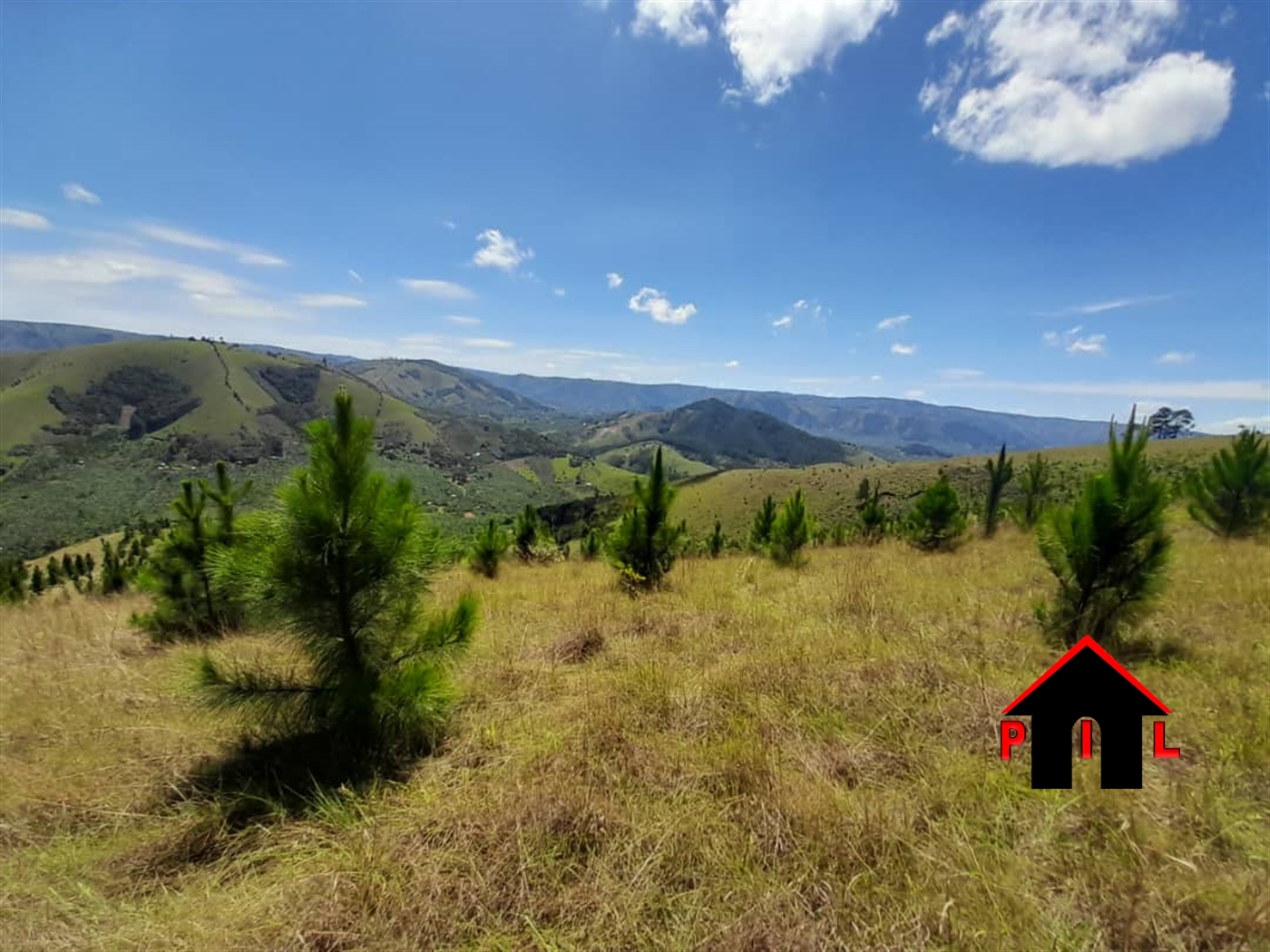 Agricultural Land for sale in Rwampala Mbarara