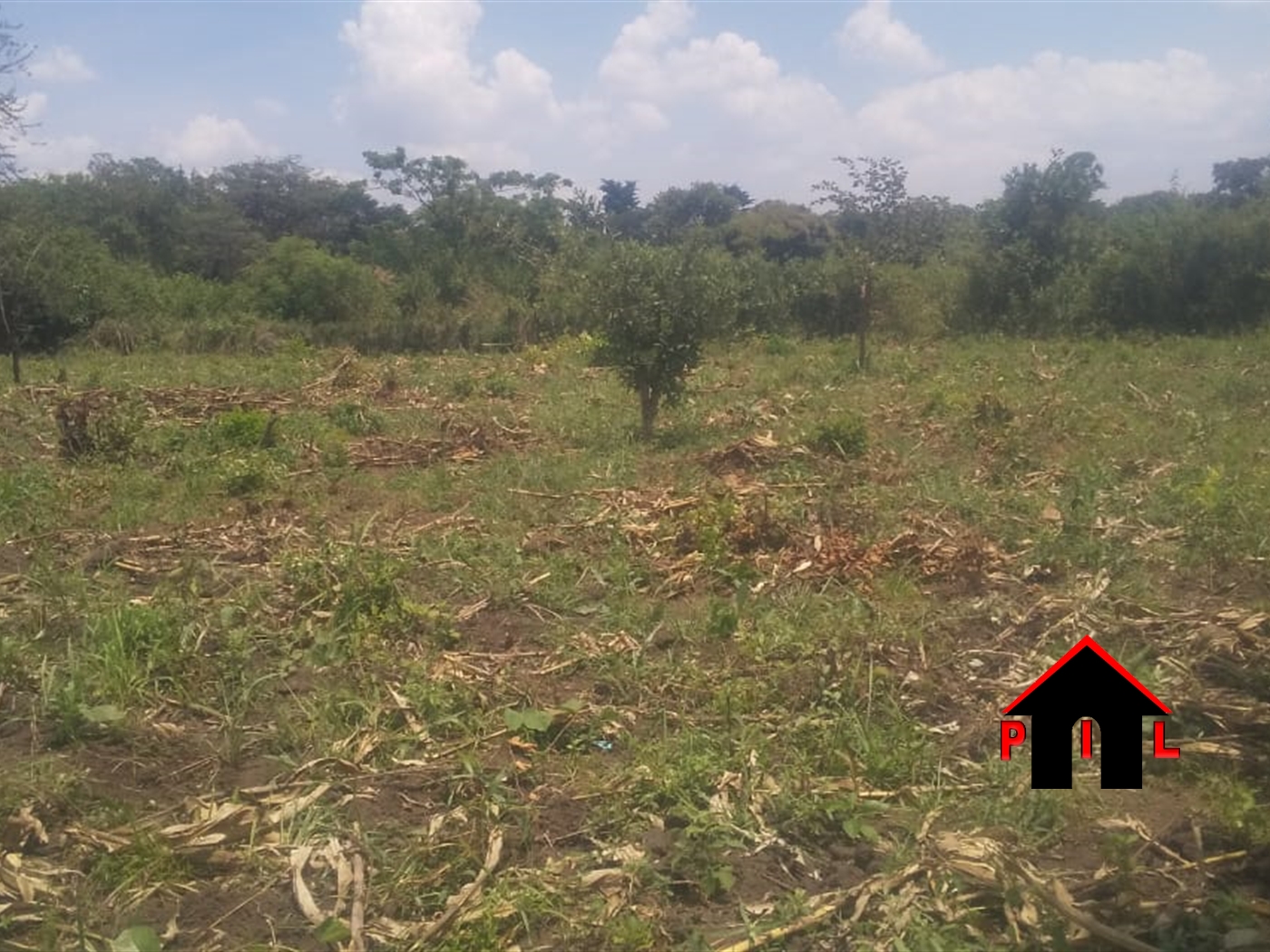 Residential Land for sale in Nabusugwe Mukono