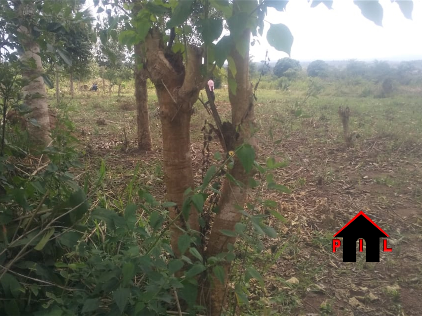 Residential Land for sale in Kisaasi Kampala