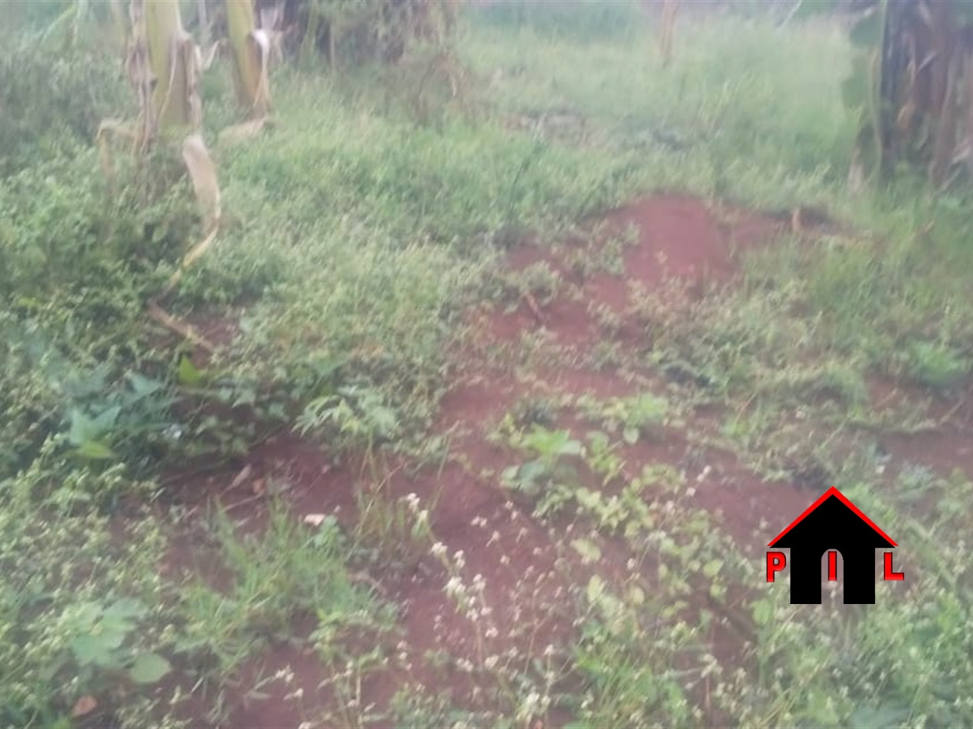 Residential Land for sale in Kiwenda Kayunga