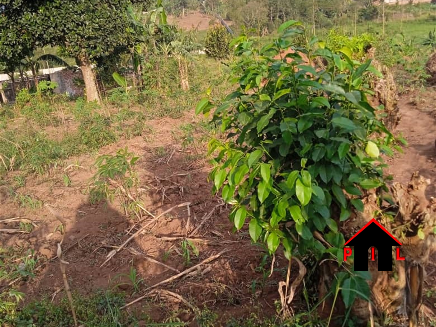 Commercial Land for sale in Kiwologoma Wakiso