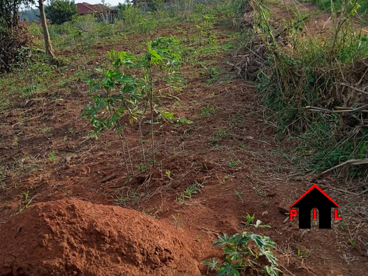 Residential Land for sale in Makenke Wakiso