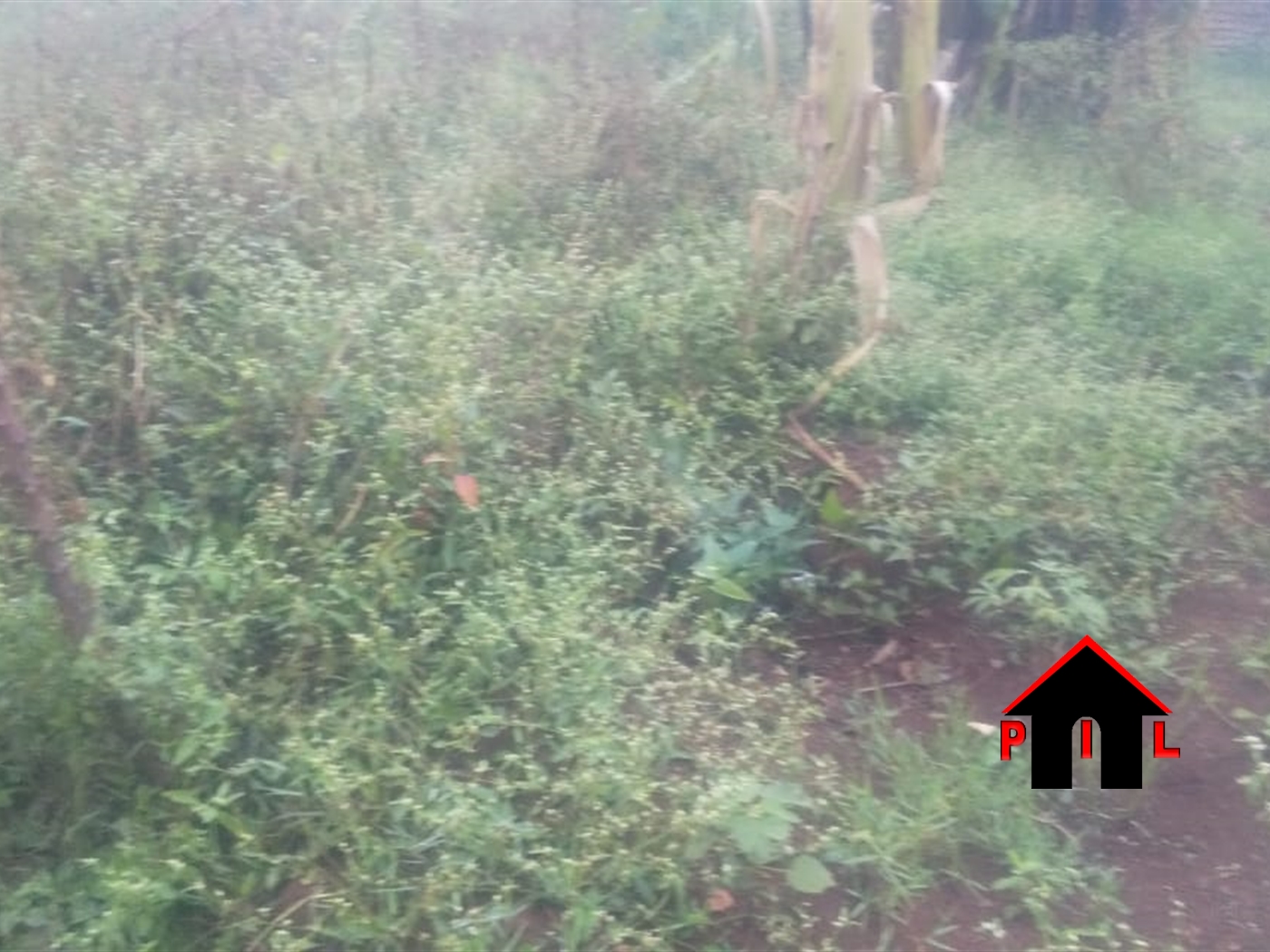 Residential Land for sale in Makenke Wakiso