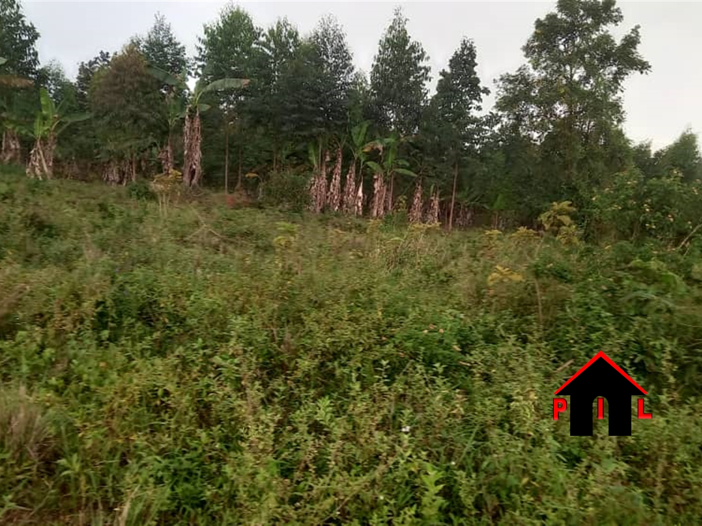 Commercial Land for sale in Kiwenda Kayunga