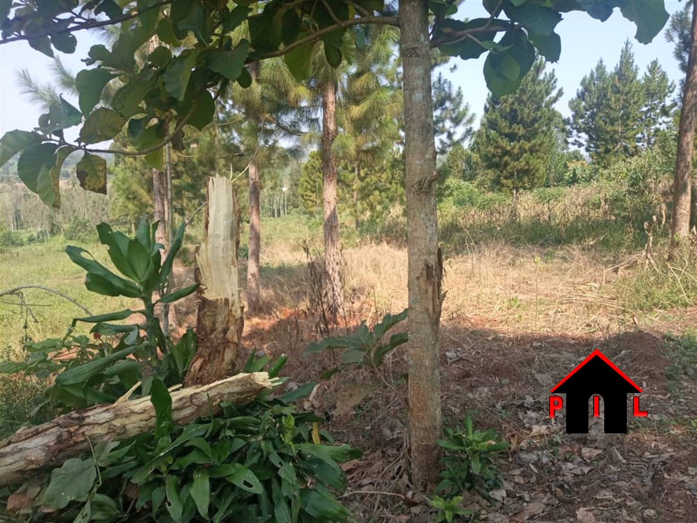 Residential Land for sale in Kungu Wakiso