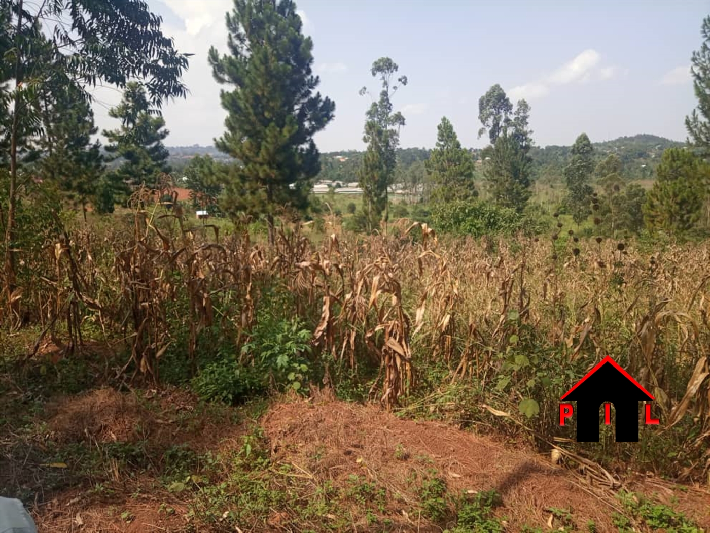 Residential Land for sale in Kungu Wakiso