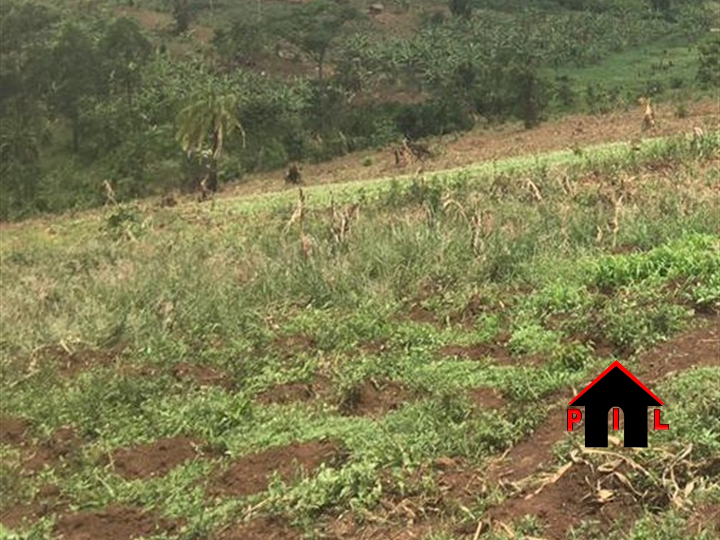 Residential Land for sale in Makenke Wakiso