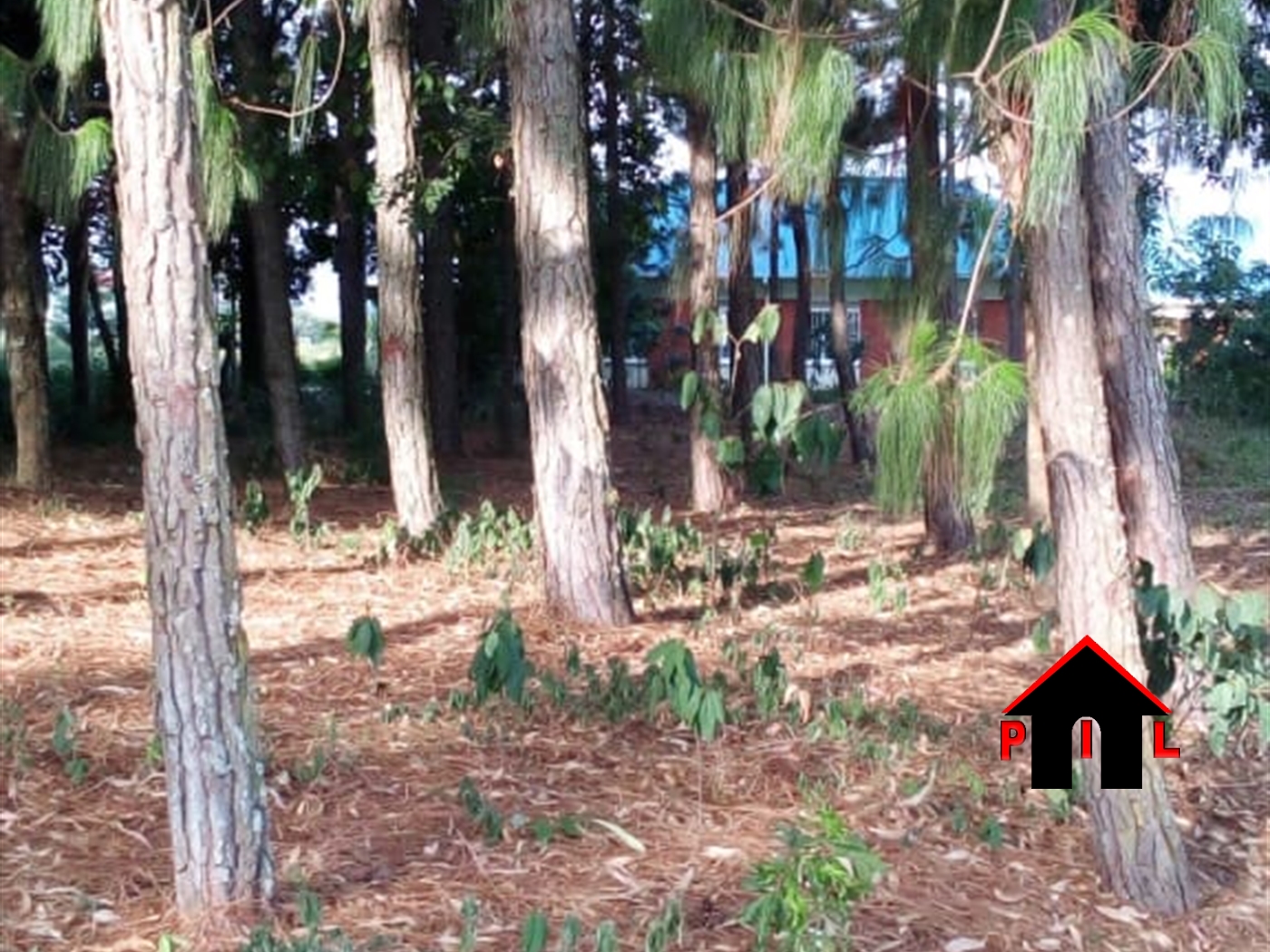 Residential Land for sale in Makenke Wakiso