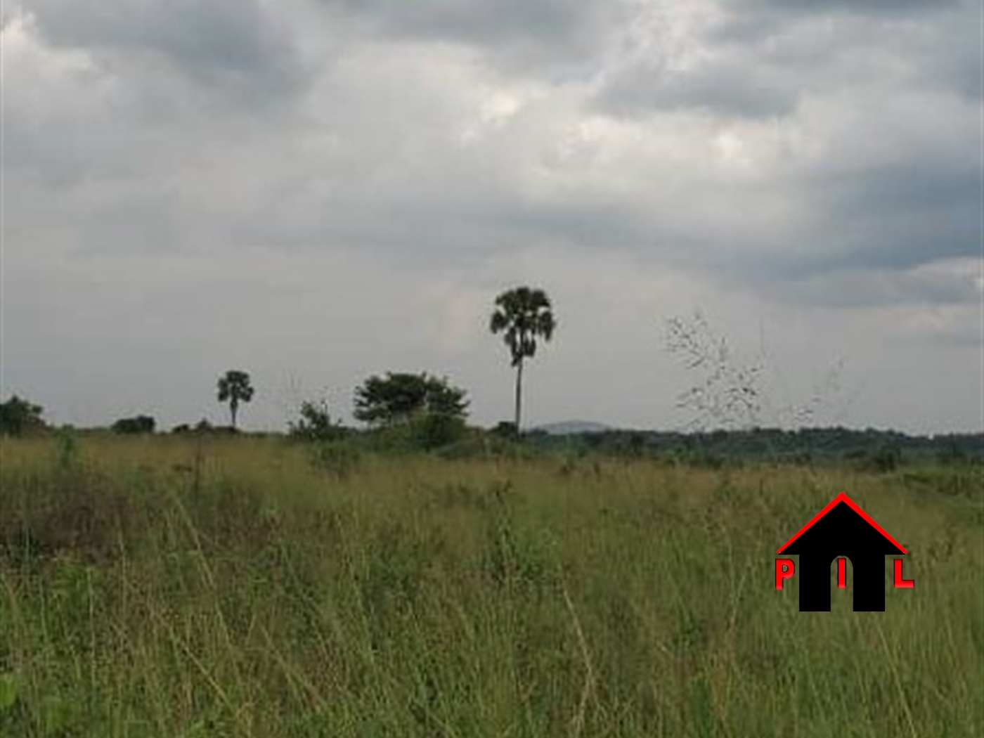 Residential Land for sale in Namulonge Wakiso