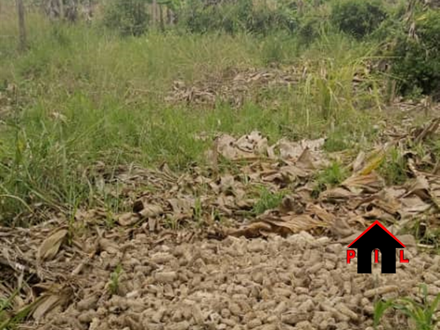 Residential Land for sale in Namulonge Wakiso