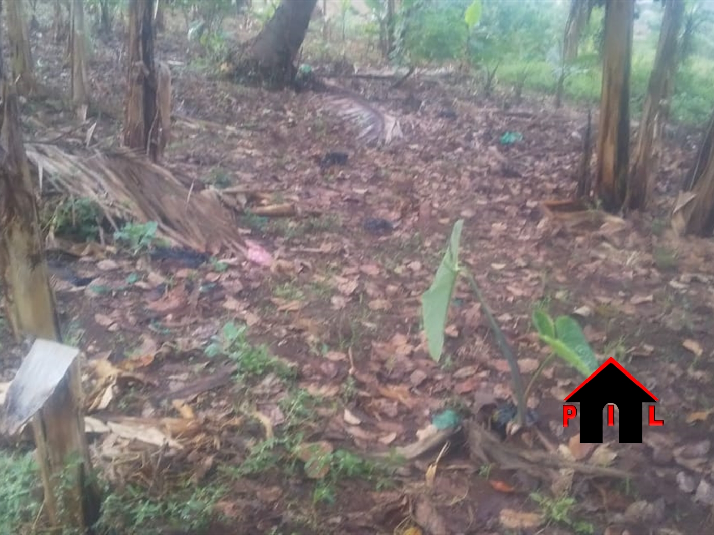 Residential Land for sale in Busiika Luweero