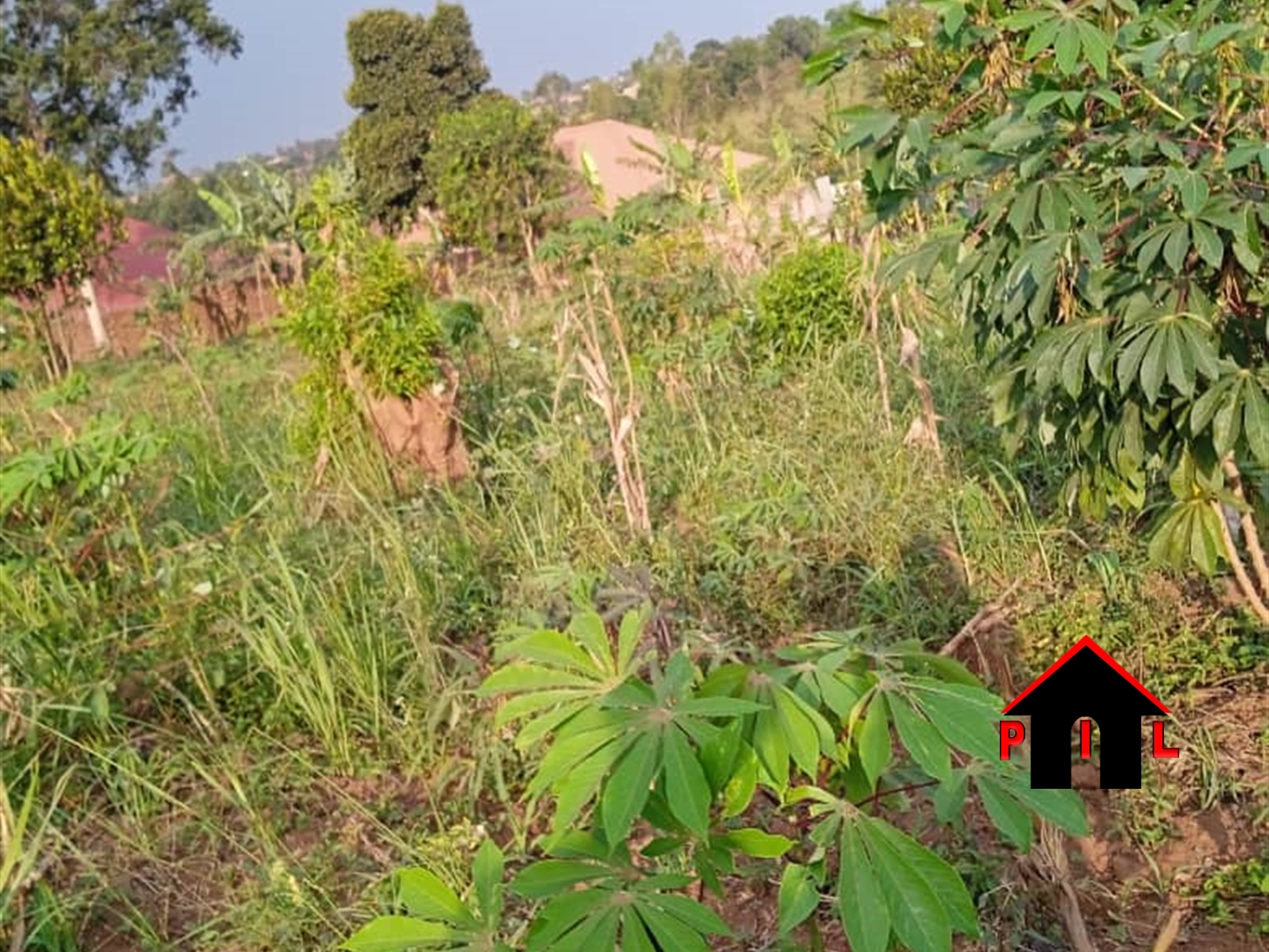 Residential Land for sale in Namulonge Wakiso