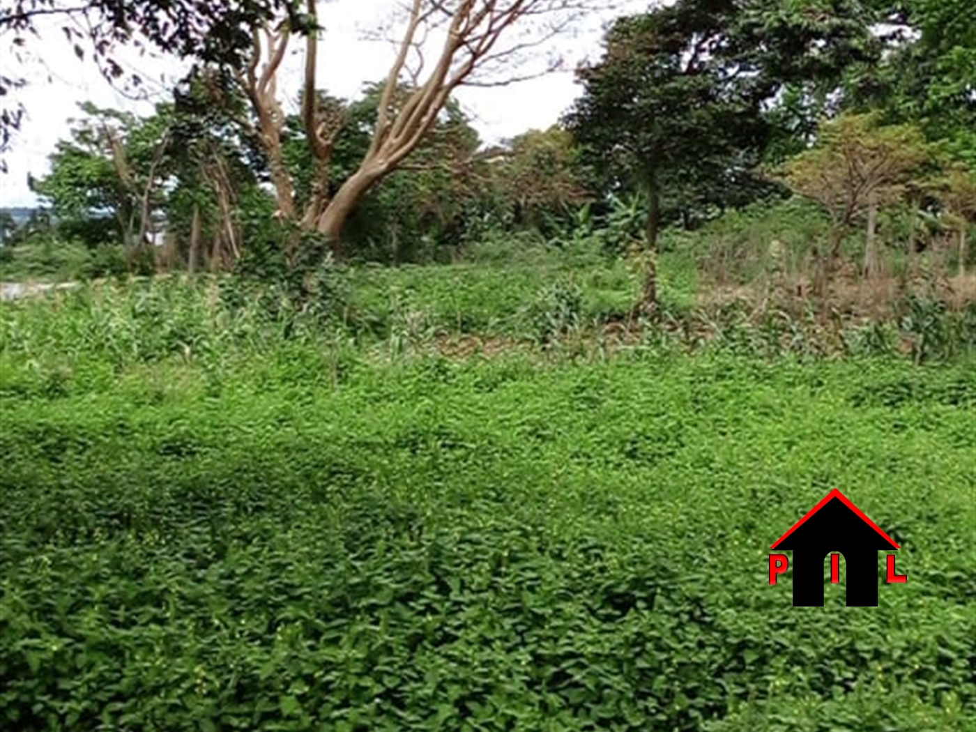 Commercial Land for sale in Kawanda Wakiso