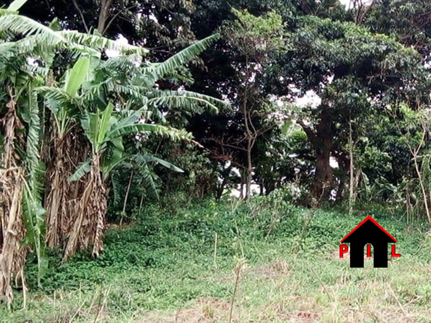 Residential Land for sale in Matugga Wakiso