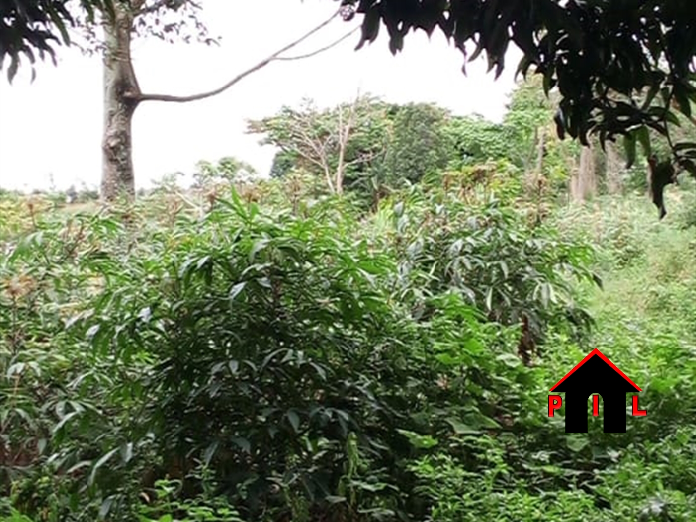 Residential Land for sale in Matugga Wakiso