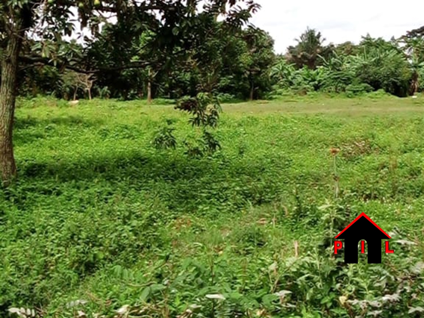 Residential Land for sale in Kasangati Wakiso