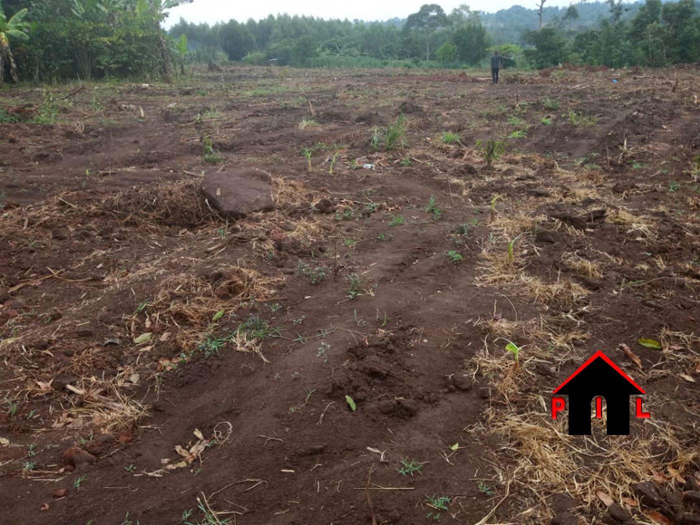 Commercial Land for sale in Kiwebwa Wakiso