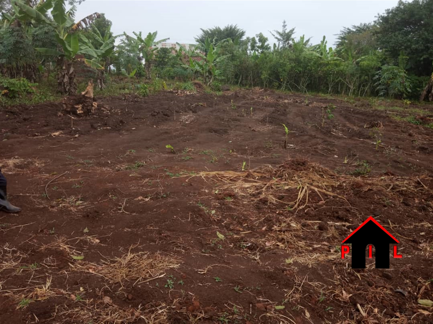 Commercial Land for sale in Kiwebwa Wakiso